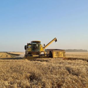 Céréalier, un métier entre savoir-faire et respect de la terre