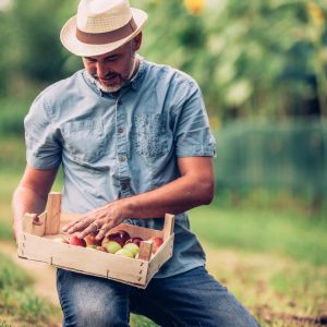 Fruiticulteur, un métier au coeur de nos assiettes