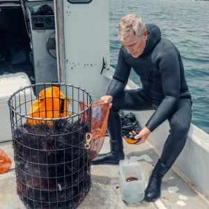 Plongeur, un métier sous l'eau !
