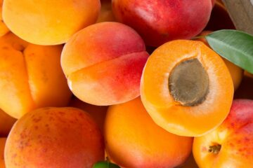 Abricots rouges du Roussillon AOP