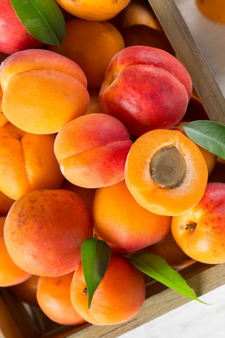 Abricots rouges du Roussillon AOP