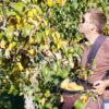 Fruiticulteur, un métier au coeur de nos assiettes