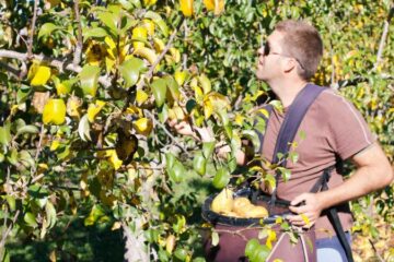 Fruiticulteur, un métier au coeur de nos assiettes
