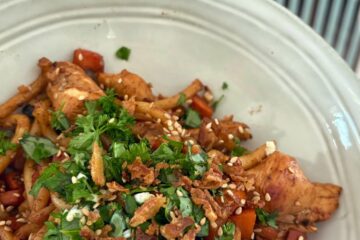 Nouilles udon sésame, soja, poulet et carottes de Julie