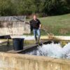 Pisciculteur, un métier qui s'occupe des poissons de l'oeuf à l'assiette