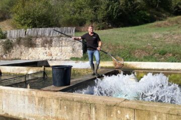 Pisciculteur, un métier qui s'occupe des poissons de l'oeuf à l'assiette