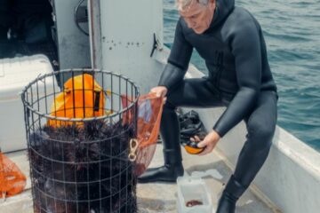 Plongeur, un métier sous l'eau !