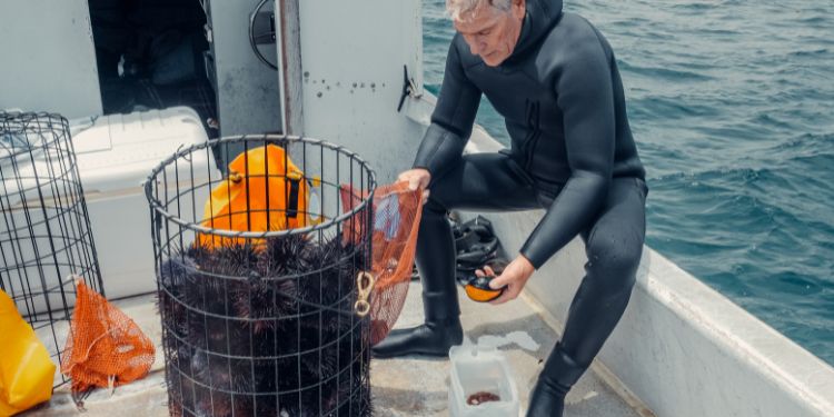 Plongeur, un métier sous l'eau !