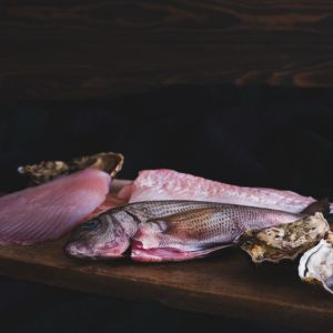Les espèces de poissons en automne