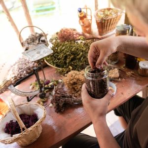 Herboriste, un métier au service des plantes et du bien-être