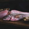 Les espèces de poissons en automne