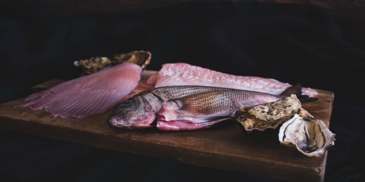 Les espèces de poissons en automne