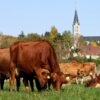 L’agroécologie : une agriculture durable et responsable