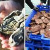 Pourquoi commander auprès de producteurs en direct est meilleur pour la planète ?