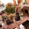 Herboriste, un métier au service des plantes et du bien-être