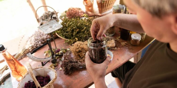 Herboriste, un métier au service des plantes et du bien-être