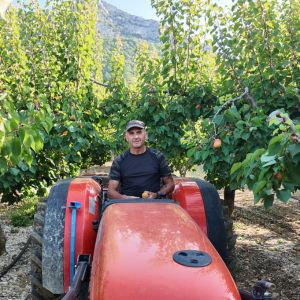 Arboriculteur, un métier "pur jus"