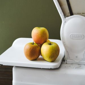 Pomme du Limousin AOP