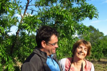 Amandiculteur, un métier délicat au coeur du verger