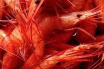 C'est quoi le bouquet breton ?