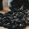 Moule de Bouchot, une Spécialité Traditionnelle Garantie