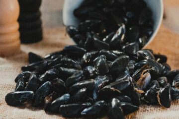 Moule de Bouchot, une Spécialité Traditionnelle Garantie