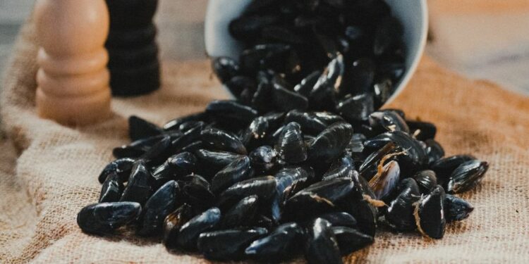 Moule de Bouchot, une Spécialité Traditionnelle Garantie