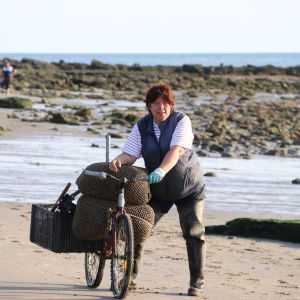 Carcinoculteur, un métier passionnant autour des crustacés