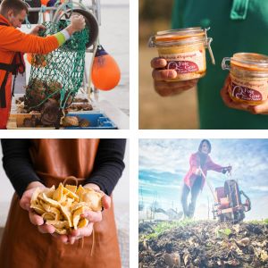 Comment acheter en direct à la ferme : le guide simple et gourmand