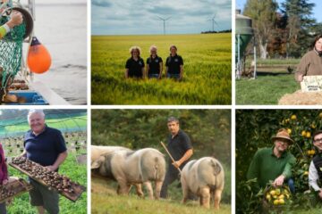 Circuit court : 3 idées reçues à déconstruire