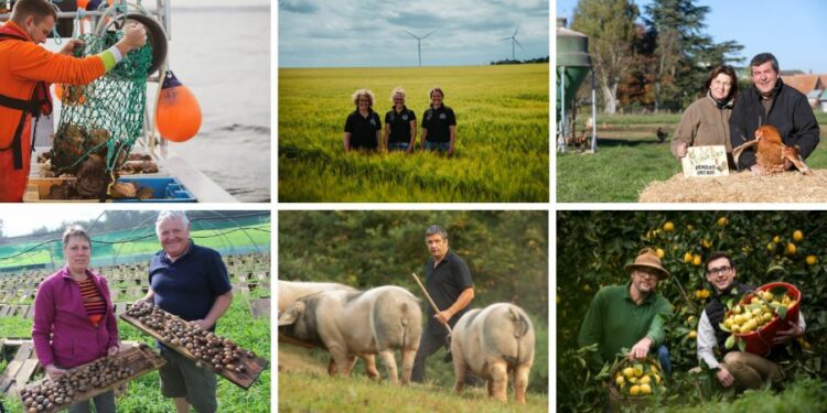 Circuit court : 3 idées reçues à déconstruire