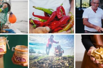 Comment acheter en direct à la ferme : le guide simple et gourmand