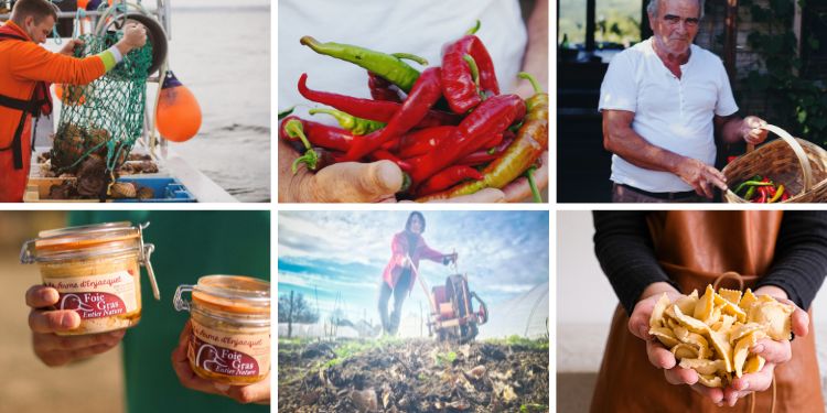 Comment acheter en direct à la ferme : le guide simple et gourmand