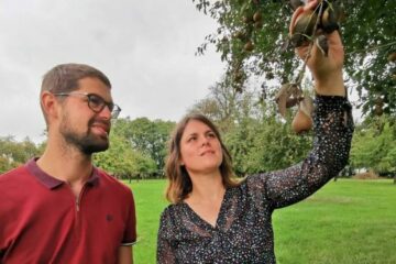 Poiréculteur, un métier au cœur des vergers