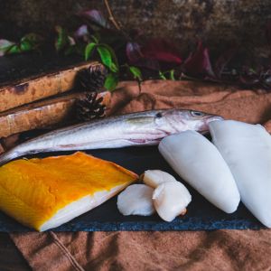 Les espèces de poissons en hiver