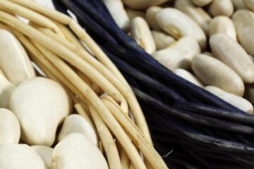 La mogette de Vendée IGP