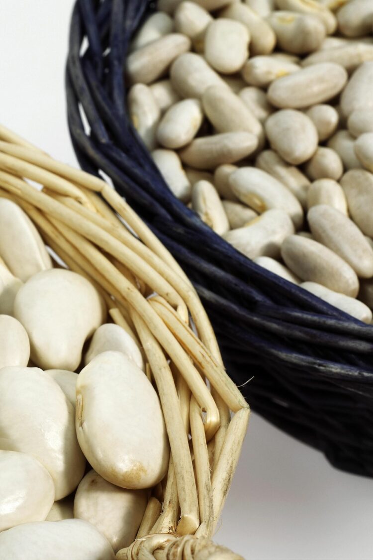 La mogette de Vendée IGP