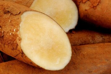 Poire de terre, qu'est-ce que c'est ?