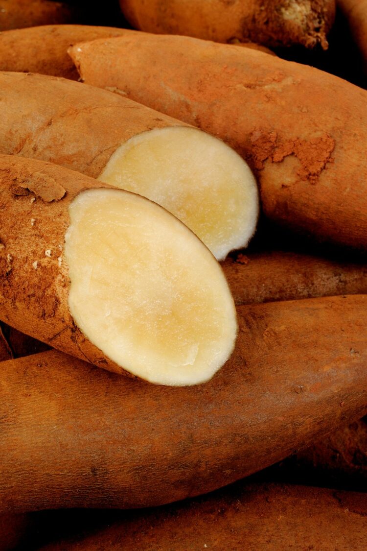 Poire de terre, qu'est-ce que c'est ?