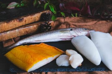 Les espèces de poissons en hiver