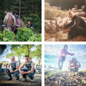 Le circuit court, un levier pour la biodiversité ?