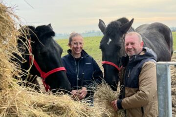 Éleveur équin, un métier au cœur du lien entre l’homme et le cheval