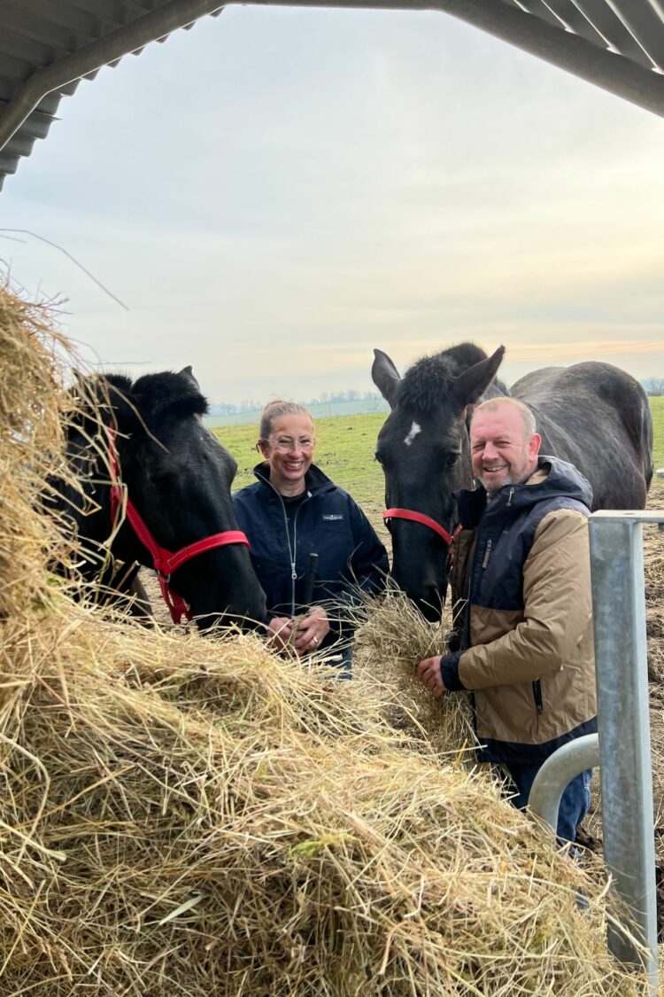 Éleveur équin, un métier au cœur du lien entre l’homme et le cheval