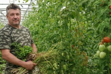 Cueilleur, un métier au cœur de la nature sauvage