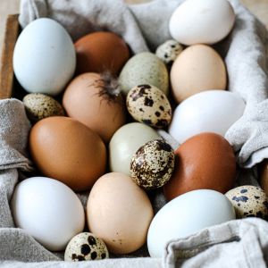 Pénurie d’œufs en France : pourquoi certains rayons se vident ?