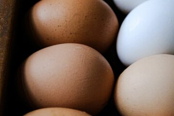 Pénurie d’œufs en France : pourquoi certains rayons se vident ?