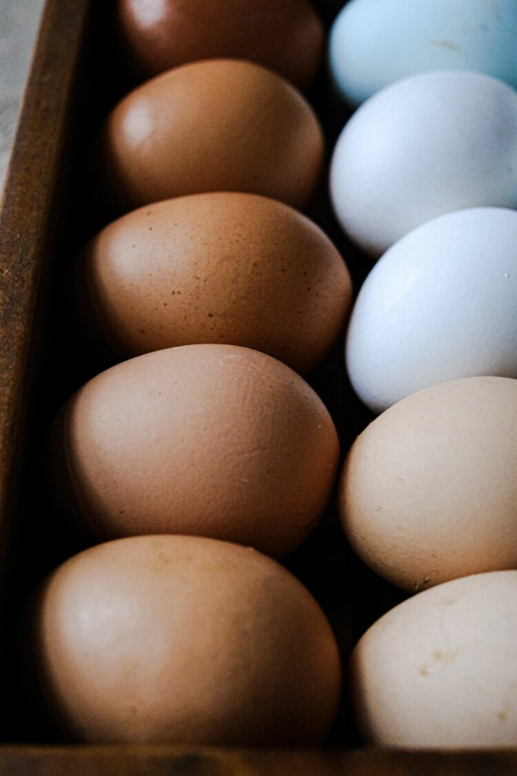 Pénurie d’œufs en France : pourquoi certains rayons se vident ?