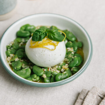 Burrata au lait de bufflone et fèves fraîches