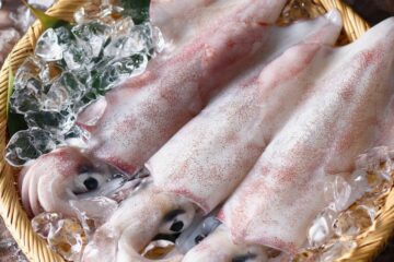 Préparation des encornets frais : toutes nos astuces