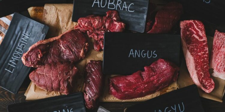 Races de viande : le petit guide pour choisir votre bœuf comme un chef